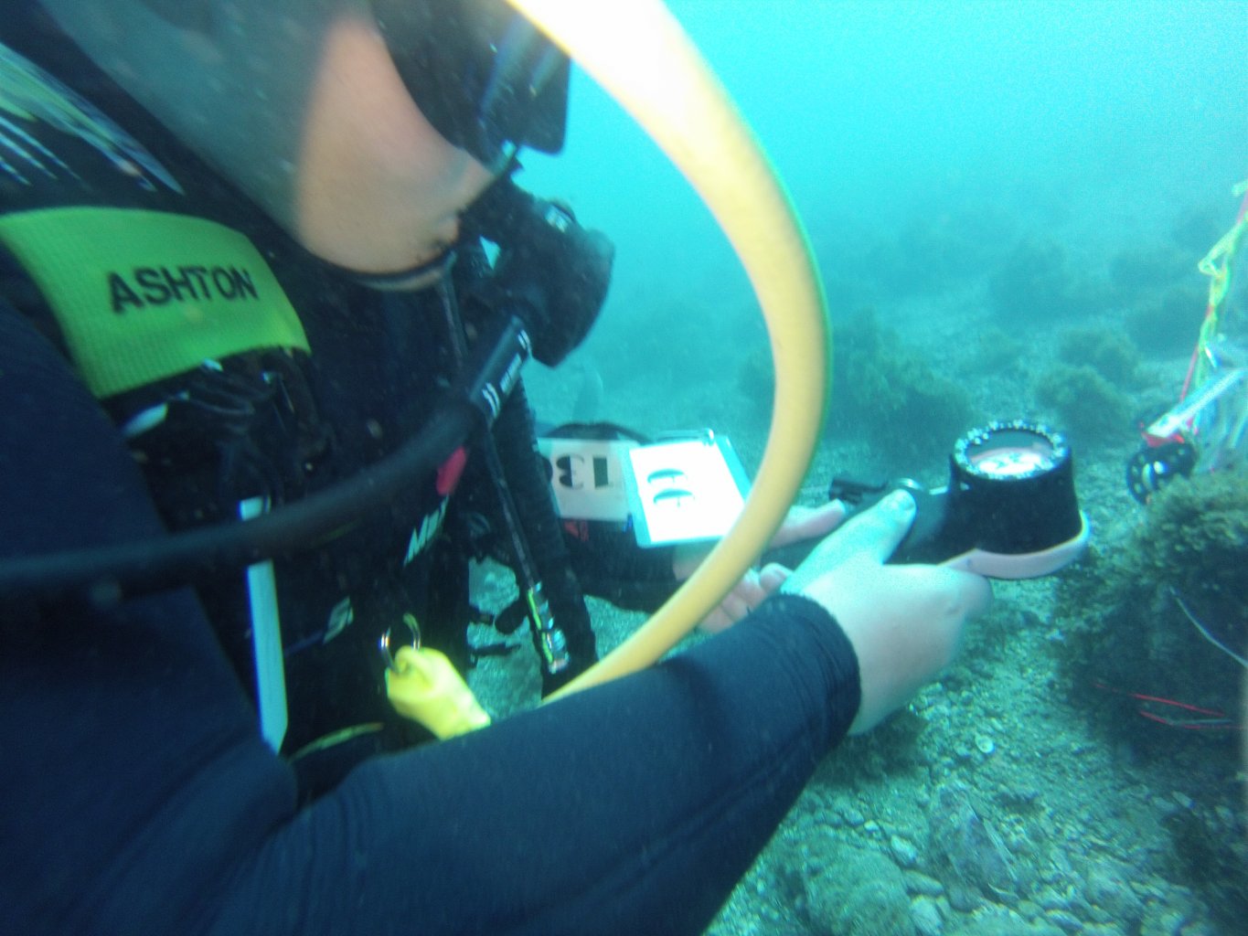 Signature Scuba Diving